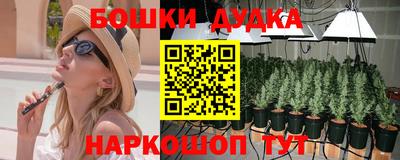 крисы Татарск