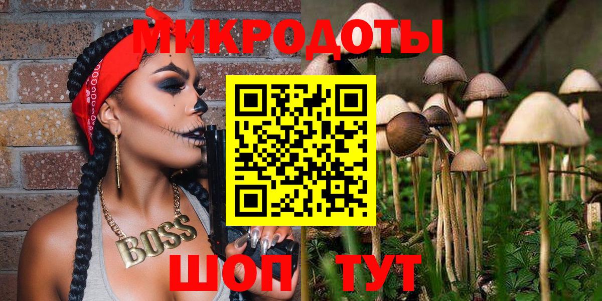 Псилоцибиновые грибы мицелий Новоалександровск